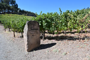 CA Wine Country, Napa Valley, Honig Winery, Forman Winery, Seavey Winery, Inglenook Winery