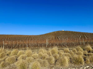 Memorial, San Diego Downtown, Vineyards, Wineries, Ford Mustang Convertible, Aerial Views, Drone Footage, Laguna Mountains, Borrego Desert