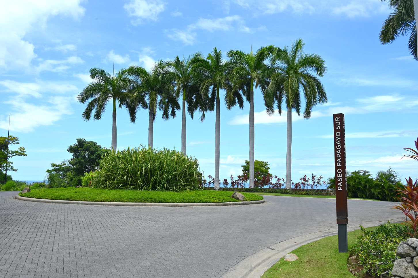 Transamerica 2021 | Palo Verde National Park | Liberia | Costa Rica | Central America