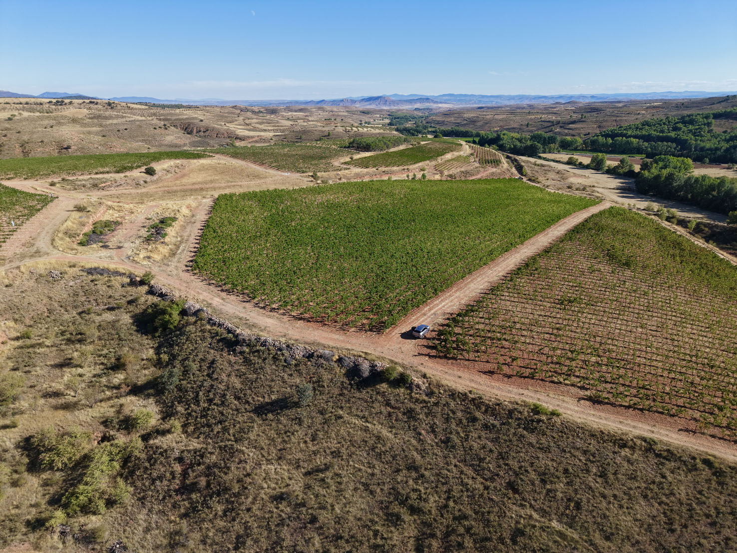 Raices Ibericas Winery, Villaroya, Calatayud, Aragon